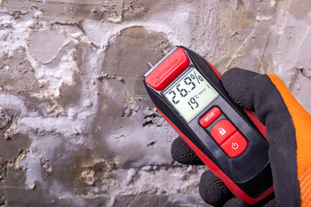 Best Commercial Mold Removal  in Guerneville, CA