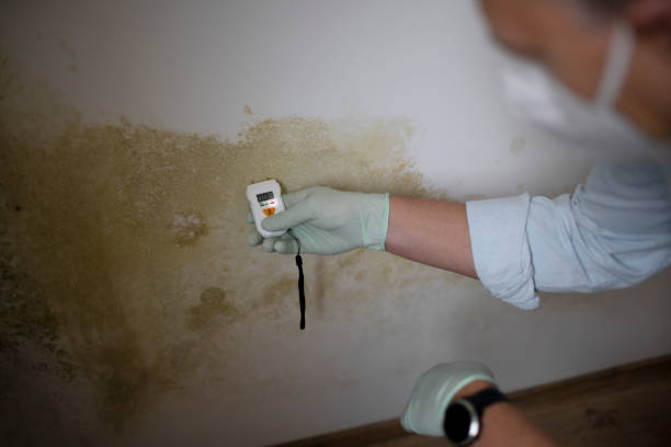Water Damage Restoration in Guerneville, CA